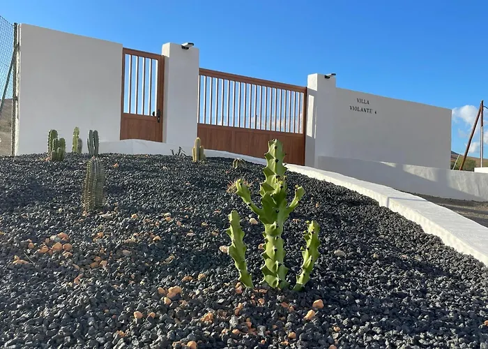 Apartamentos Violante