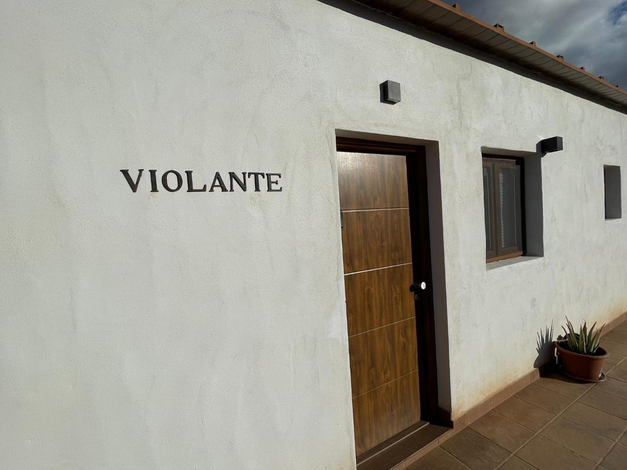 Apartment Violante *